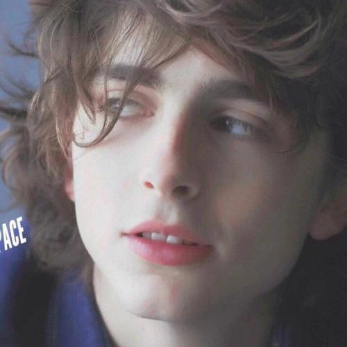 transferhome@Michael