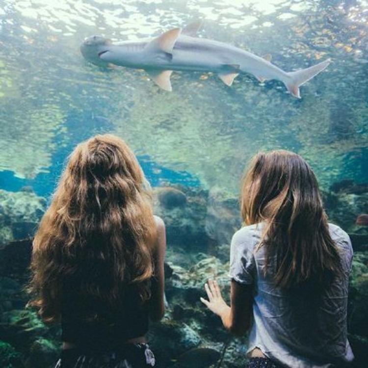 transferhome@Tristan