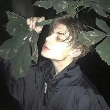 transferhome@Jocasta