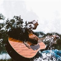 transferhome@Bridget