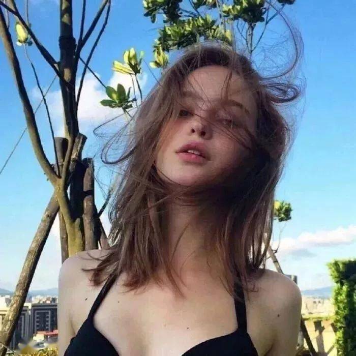 transferhome@Stanley