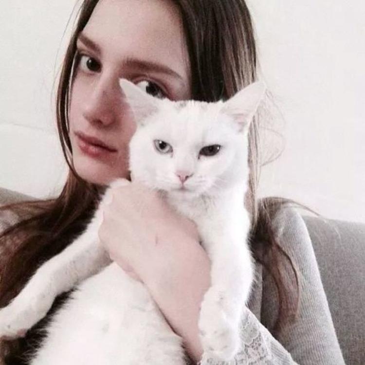 transferhome@Dashiell