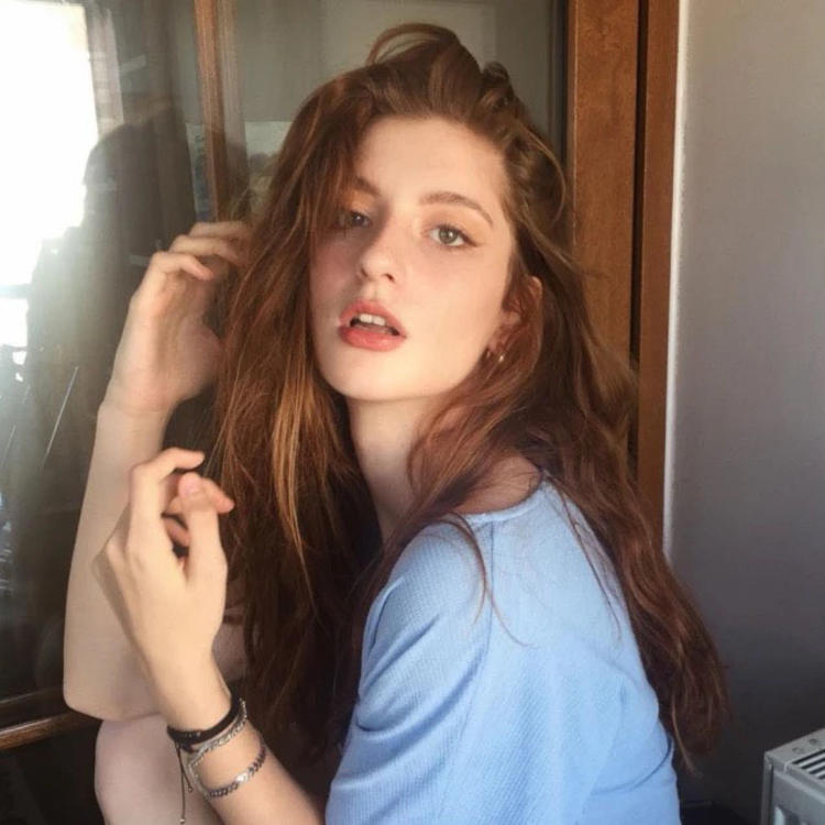 transferhome@Dashiell